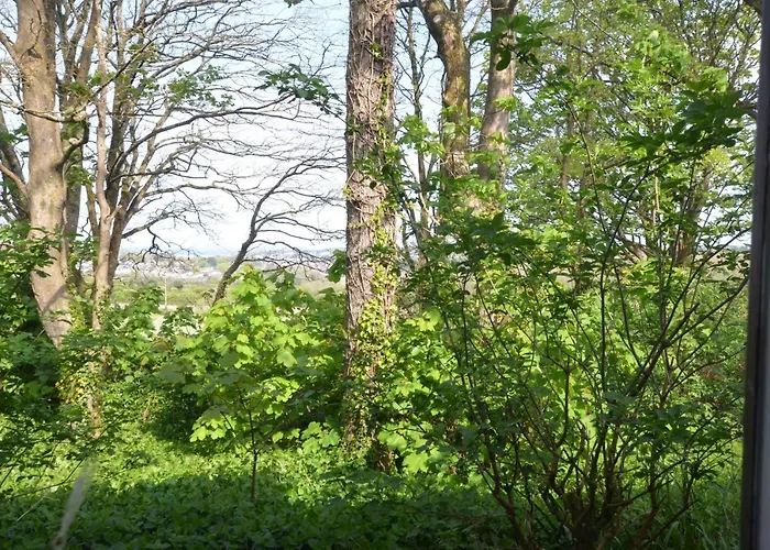 65 Strawberry Hill, Tolroy Manor